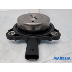 Renault - Scenic - Nokkenas Verstelling