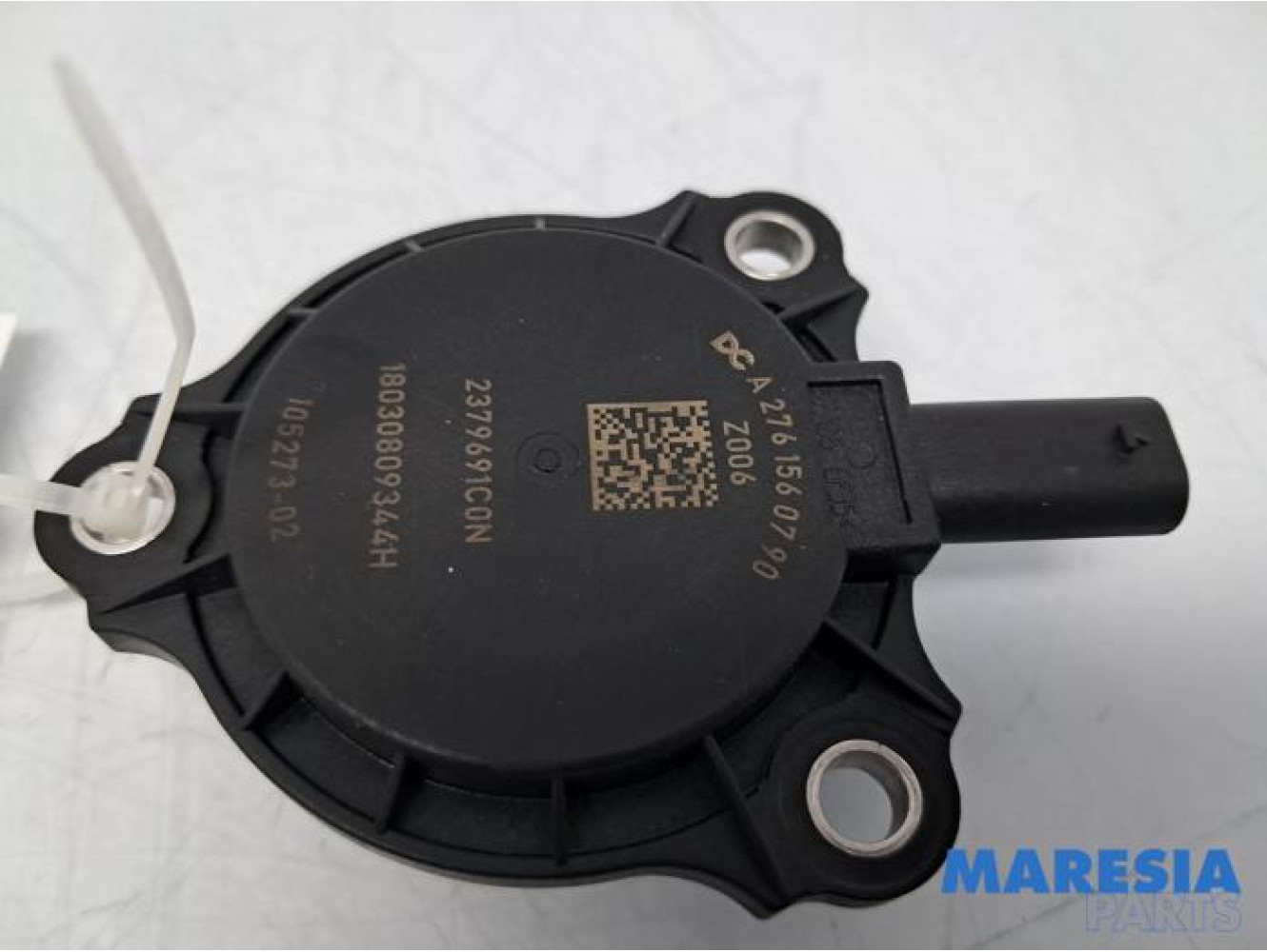 Renault - Scenic - Nokkenas Verstelling