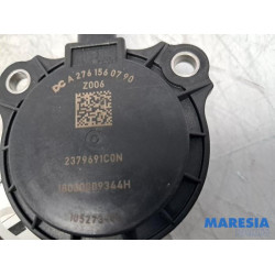 Renault - Scenic - Nokkenas Verstelling