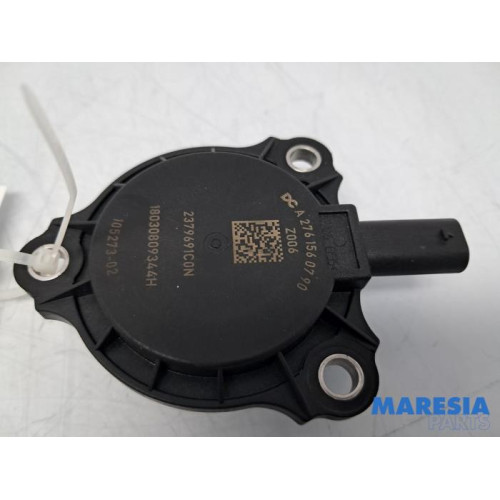 Renault - Scenic - Nokkenas Verstelling