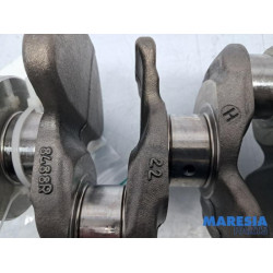 Renault - Scenic - Krukas