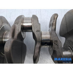 Renault - Scenic - Krukas