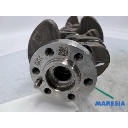 Renault - Scenic - Krukas