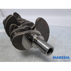 Renault - Scenic - Krukas