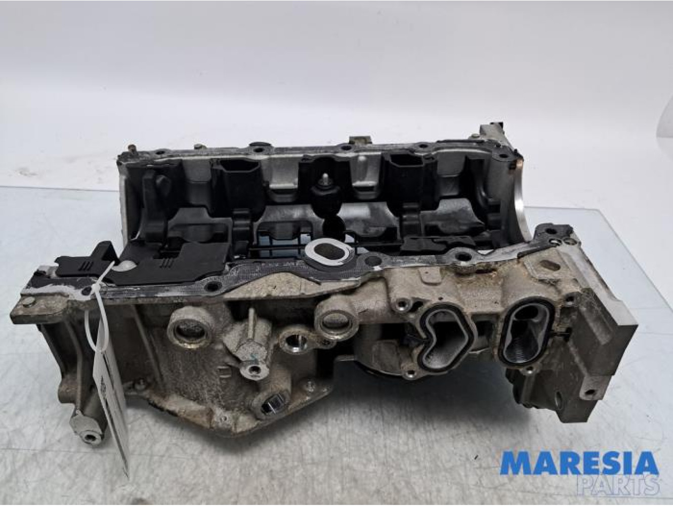 Renault - Scenic - Carterpan