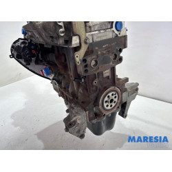 Fiat - Ducato - Motor