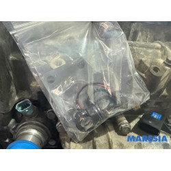 Fiat - Ducato - Motor