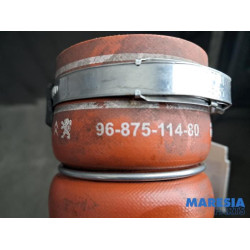 Citroen - DS3 - Intercooler Slang