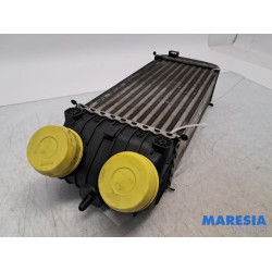 Citroen - DS3 - Intercooler