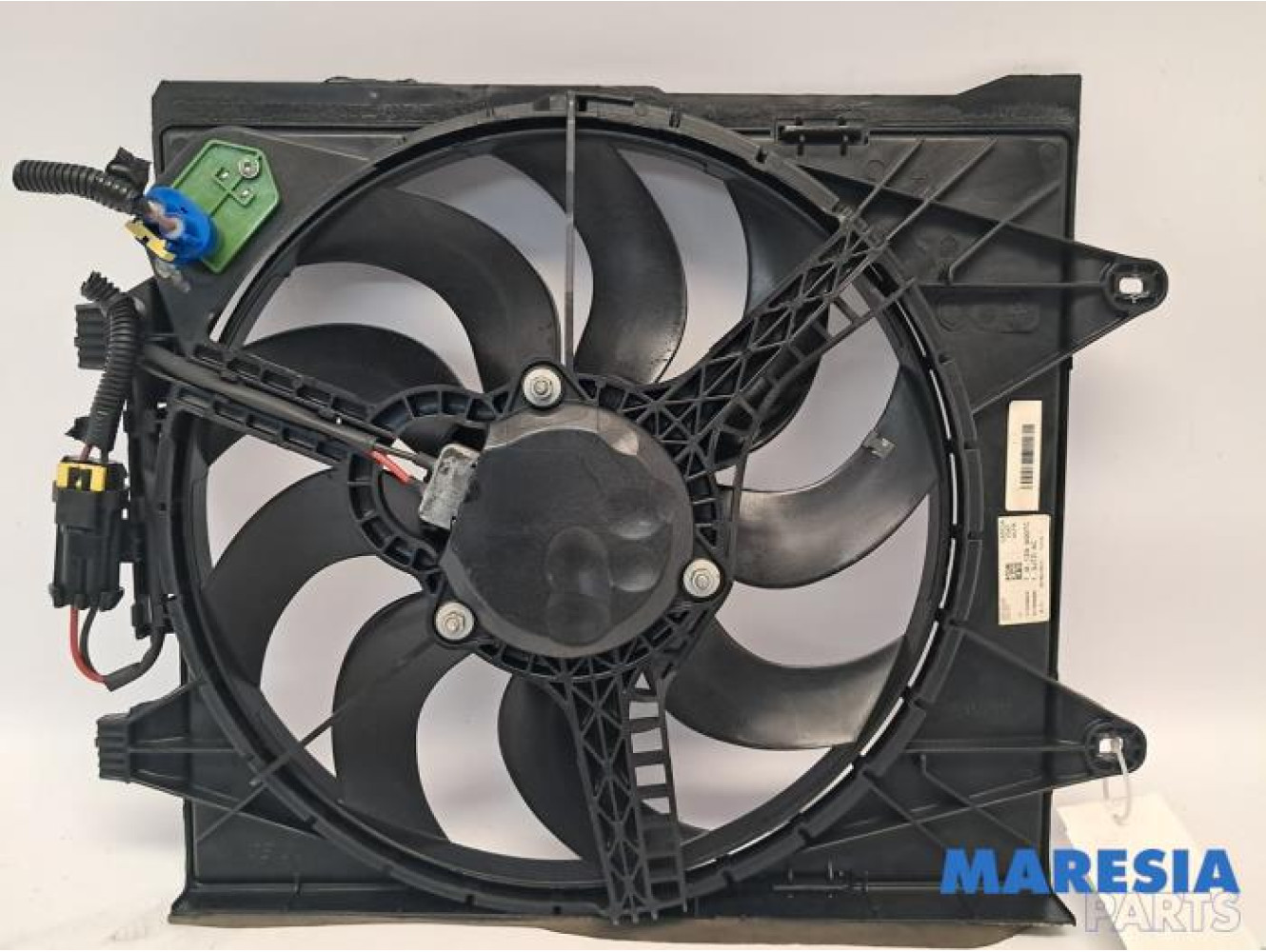 Fiat - Panda - Koelvin Motor