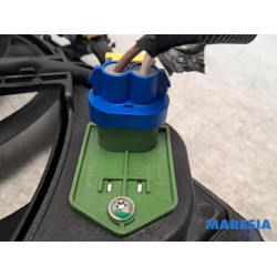 Fiat - Panda - Koelvin Motor