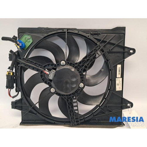 Fiat - Panda - Koelvin Motor