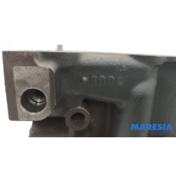 Fiat - Ducato - Engine crankcase