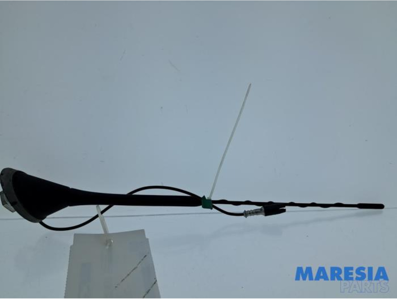 Fiat - 500 - Antenna