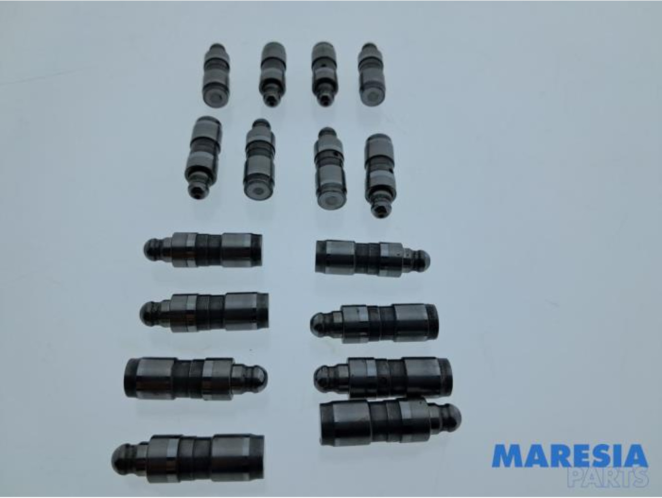 Renault - Grand Scenic - Klepstoter