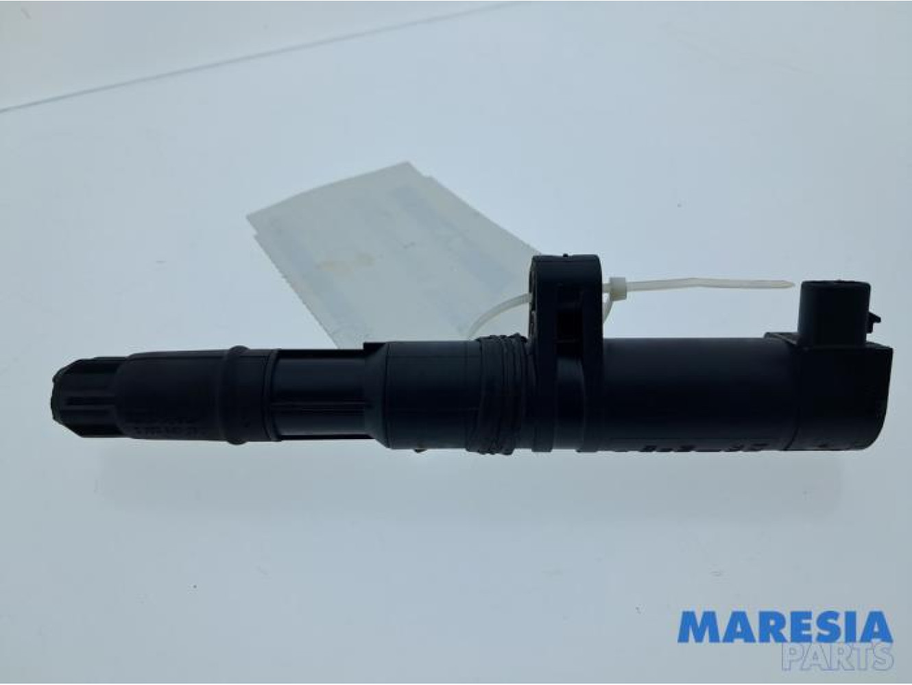 Renault - Grand Scenic - Stift Zündspule