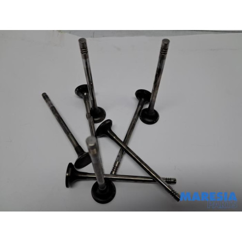 Renault - Trafic - Induction valve