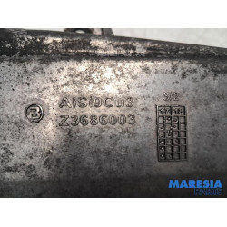 Renault - Trafic - Valve RGE