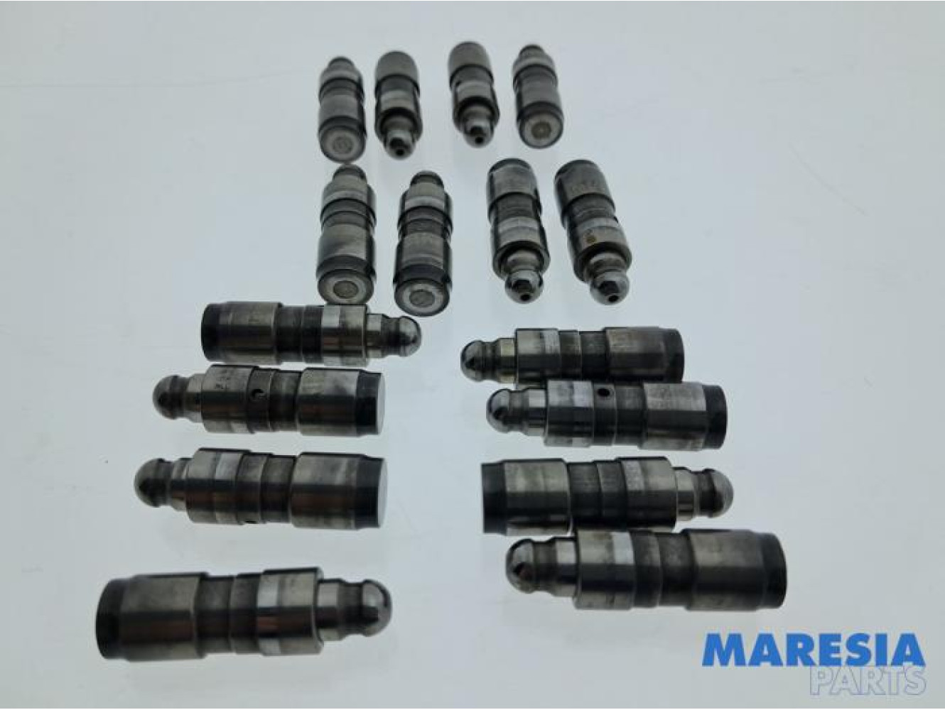 Renault - Scenic - Klepstoter