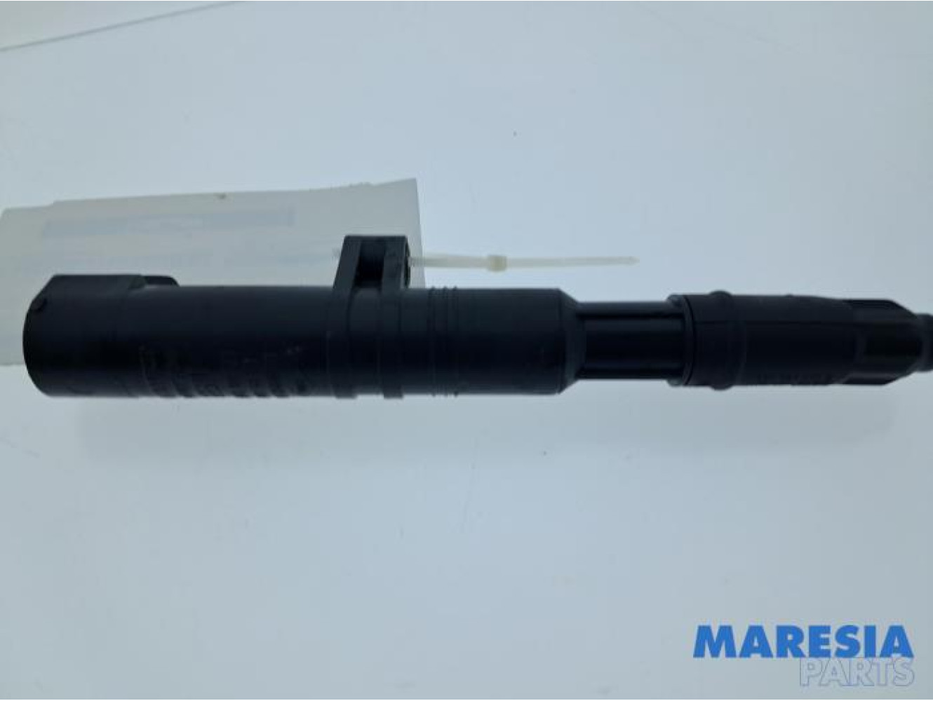 Renault - Scenic - Stift Zündspule