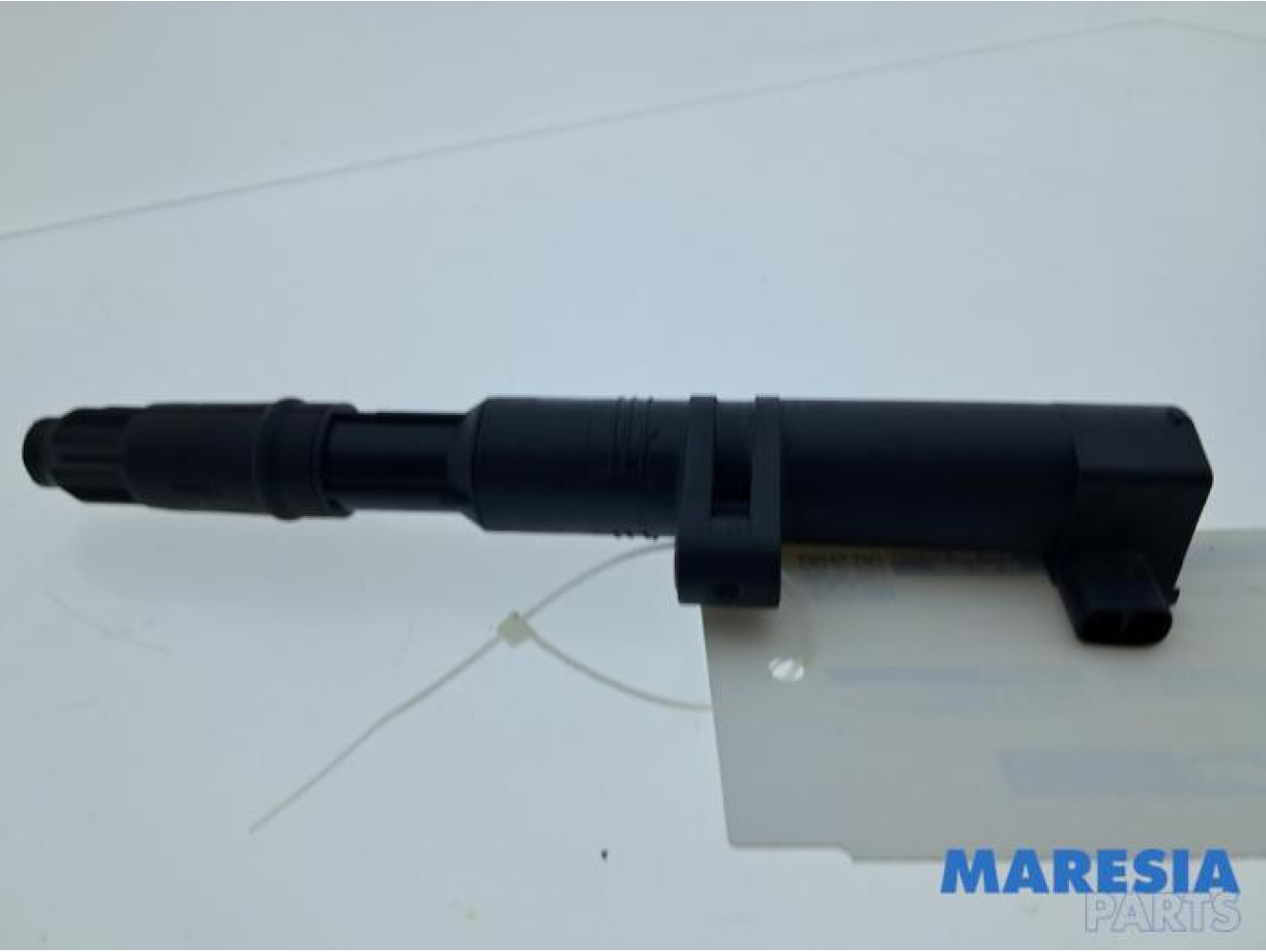 Renault - Scenic - Stift Zündspule