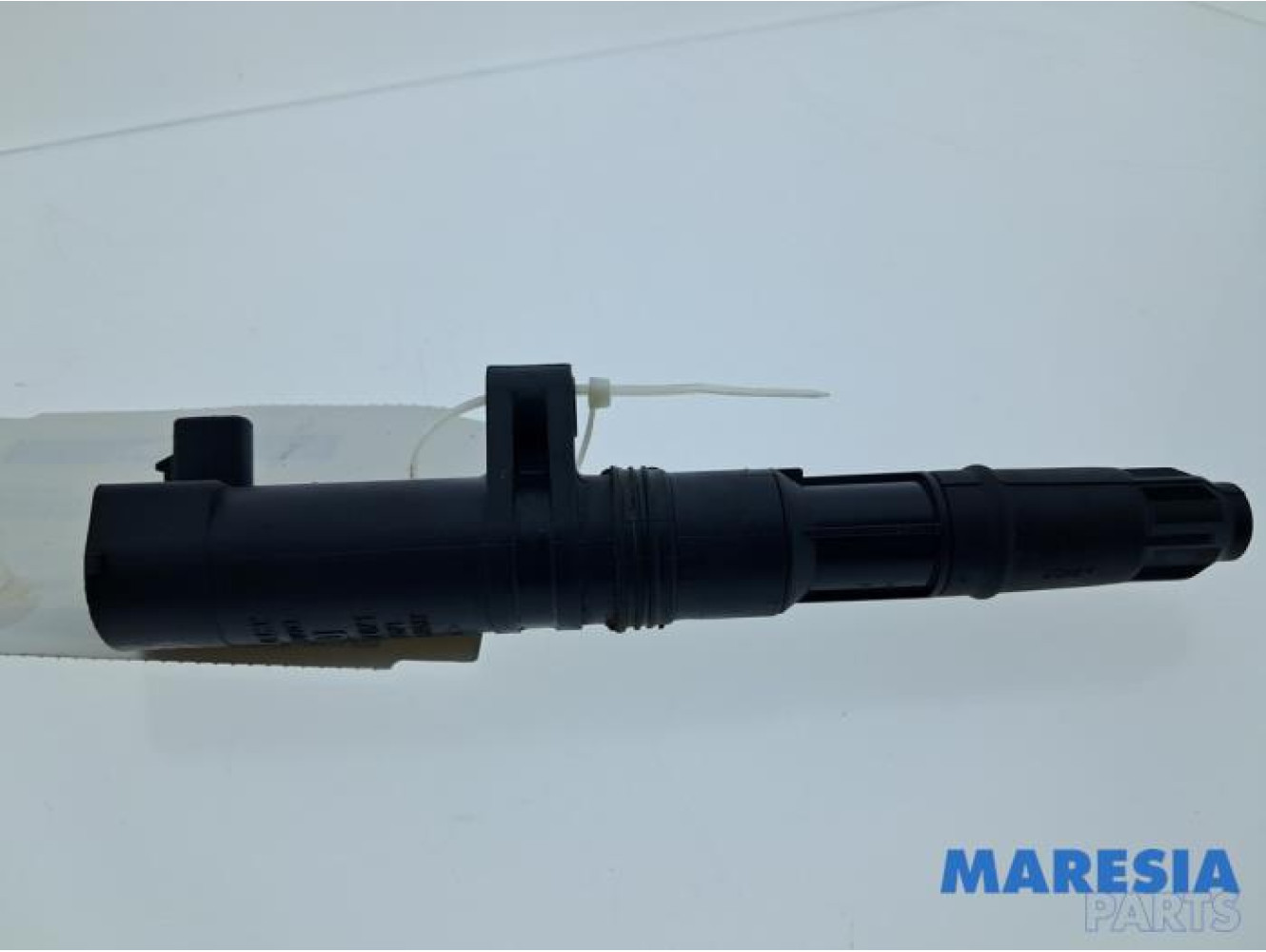 Renault - Scenic - Stift Zündspule