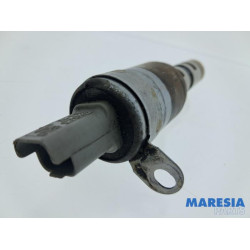 Renault - Scenic - Nokkenas Verstelling