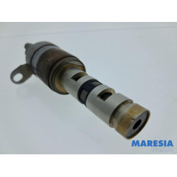 Renault - Scenic - Nokkenas Verstelling