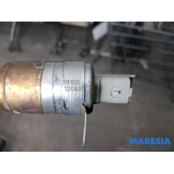 Renault - Scenic - Nokkenas Verstelling