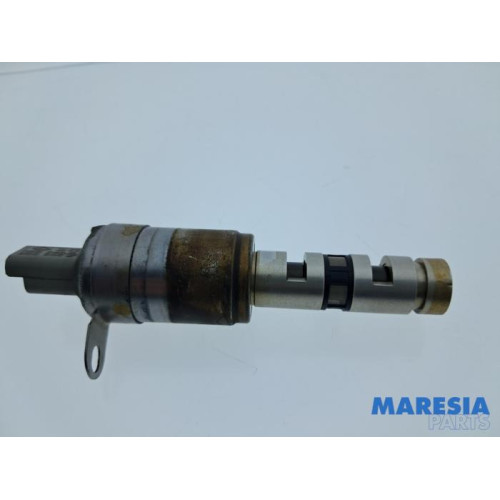 Renault - Scenic - Nokkenas Verstelling