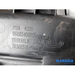 Peugeot - 308 - Koolstoffilter