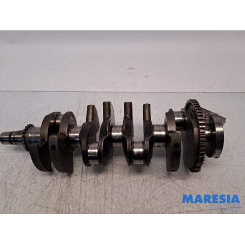 Fiat - 500X - Krukas