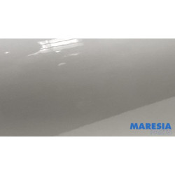 Renault - Clio - Door 4-door, front left