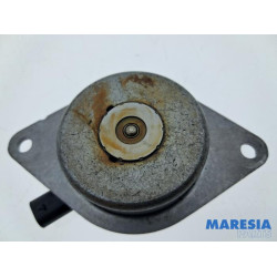 Fiat - 500X - Nokkenas Verstelling