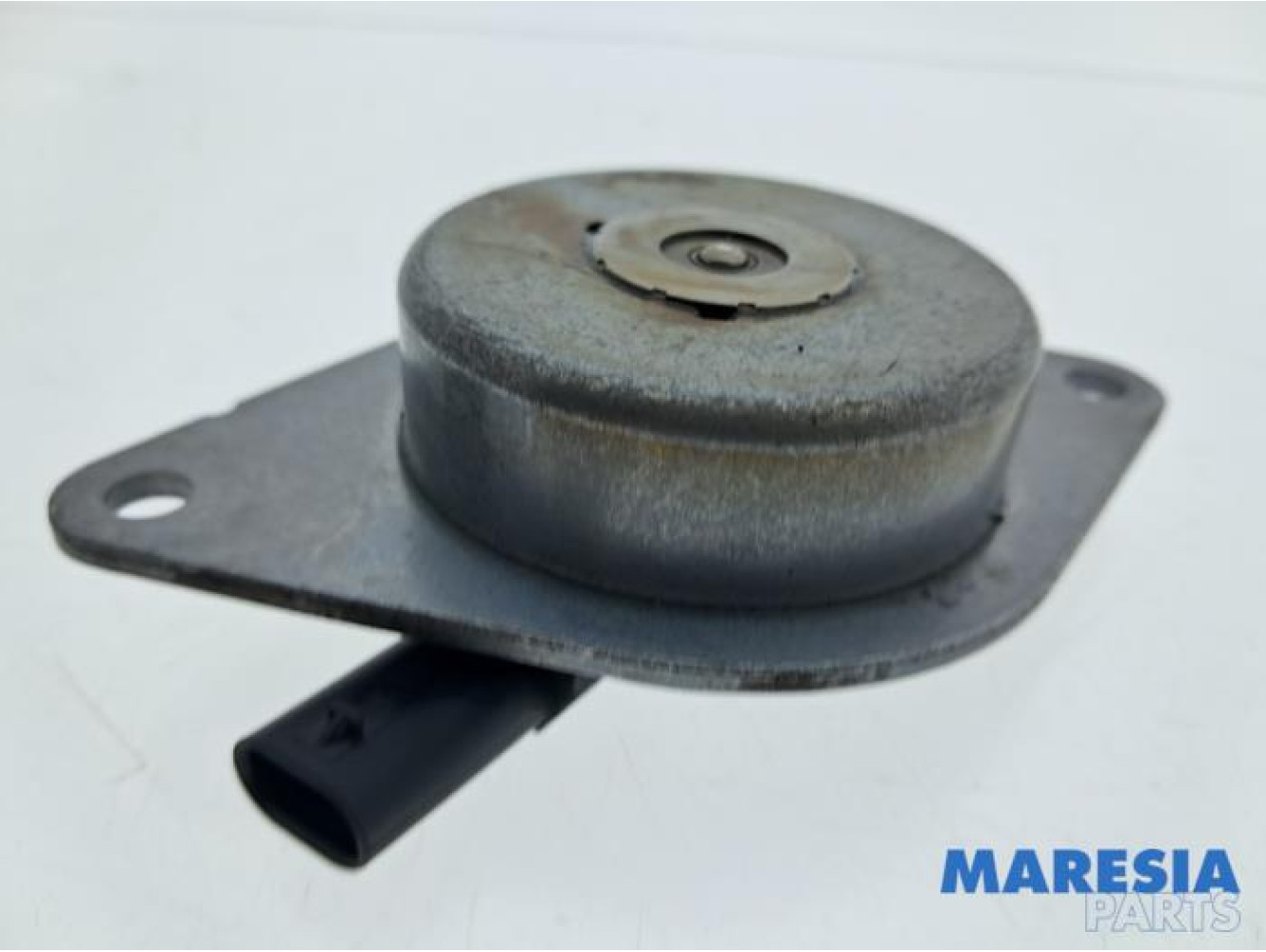 Fiat - 500X - Nokkenas Verstelling