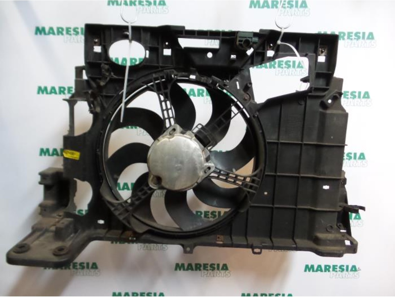 Fiat - Stilo - Koelvin Motor