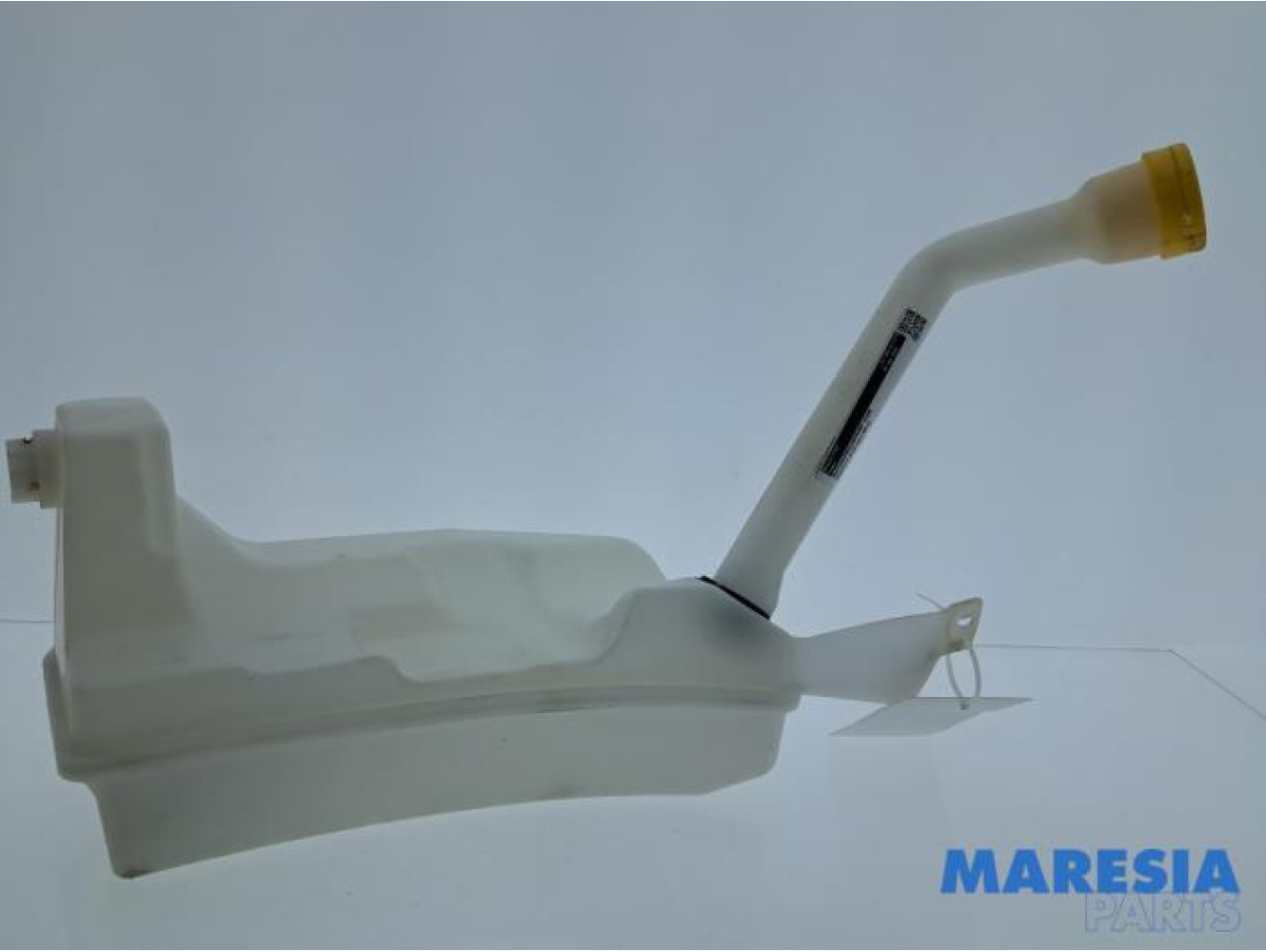 Renault - Clio - Scheibensprüherpumpe vorne