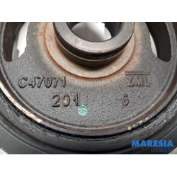 Renault - Captur - Krukas Poelie