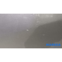 Renault - Captur - Portier 4Deurs links-achter