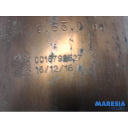 Dacia - Dokker - Particulate filter