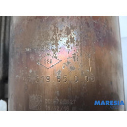 Dacia - Dokker - Particulate filter