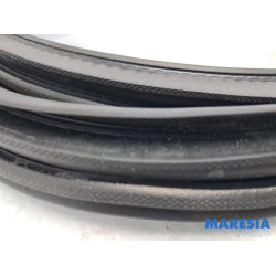 Citroen - C3 - Türgummi 4-türig rechts hinten