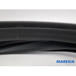 Citroen - C3 - Türgummi 4-türig rechts hinten