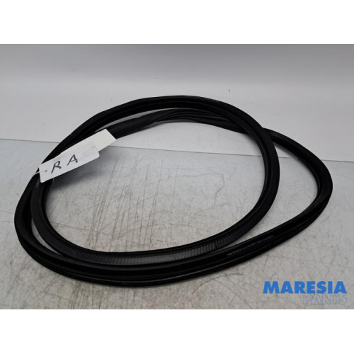 Citroen - C3 - Türgummi 4-türig rechts hinten