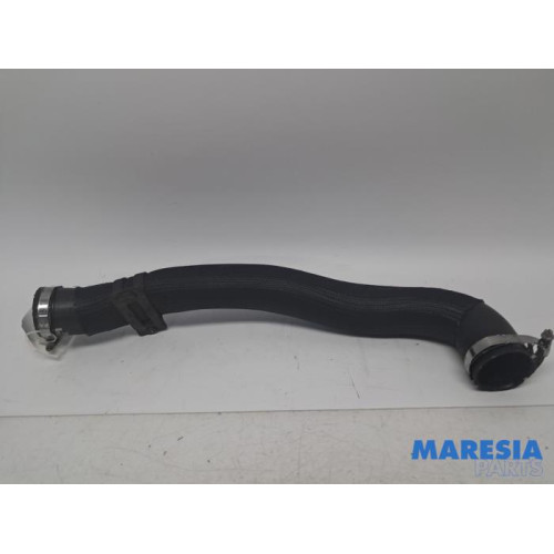 Citroen - Jumpy - Intercooler hose