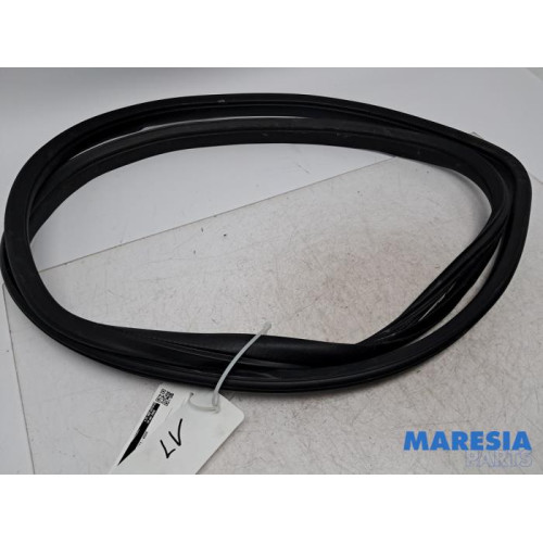 Peugeot - 108 - Türgummi 4-türig links vorne