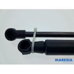 Peugeot - 108 - Set Gasdempers Achterklep