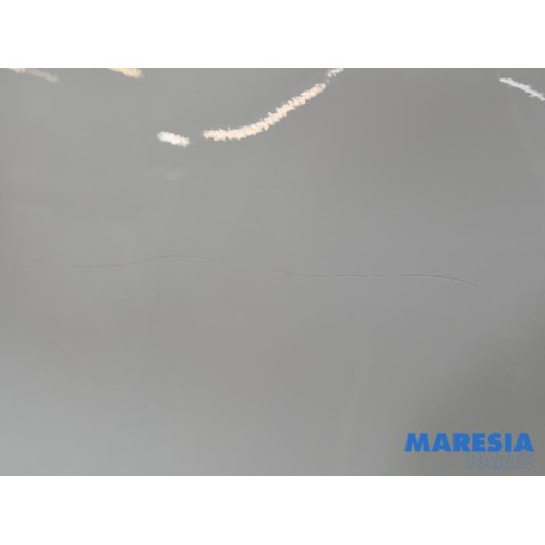 Renault - Trafic - Portier 2Deurs links