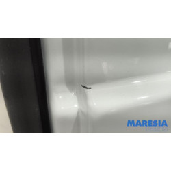 Renault - Trafic - Portière arrière camionnette