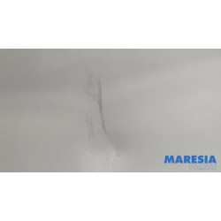 Renault - Trafic - Portière arrière camionnette